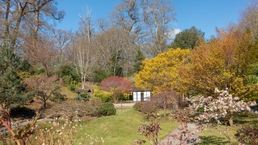 A colourful garden in early spring